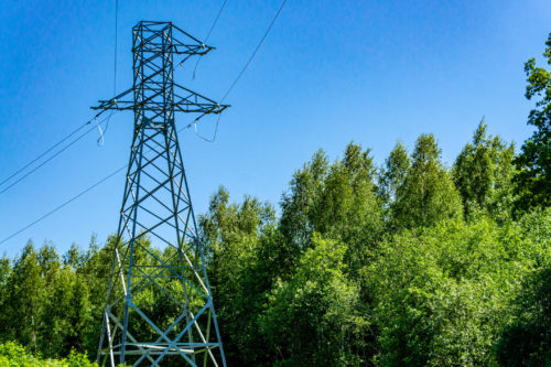 Blue sky green trees and pylon