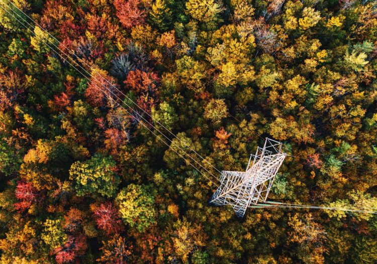 Aerial view of autumnal trees and pylon