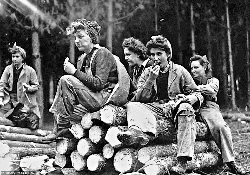 All Hail The Lumberjills! Wilson Tree Surgery